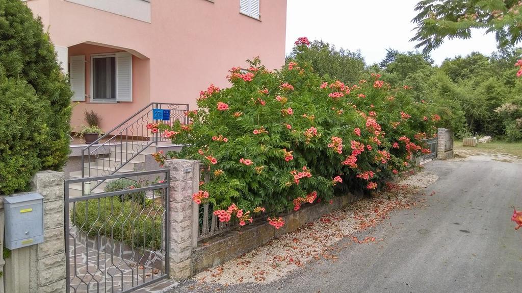 Rina Apartments Labin (Istria) Exterior foto